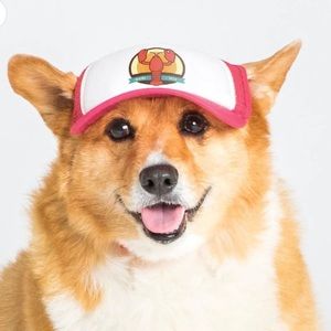 Pet Hat, Medium, Pup Lid